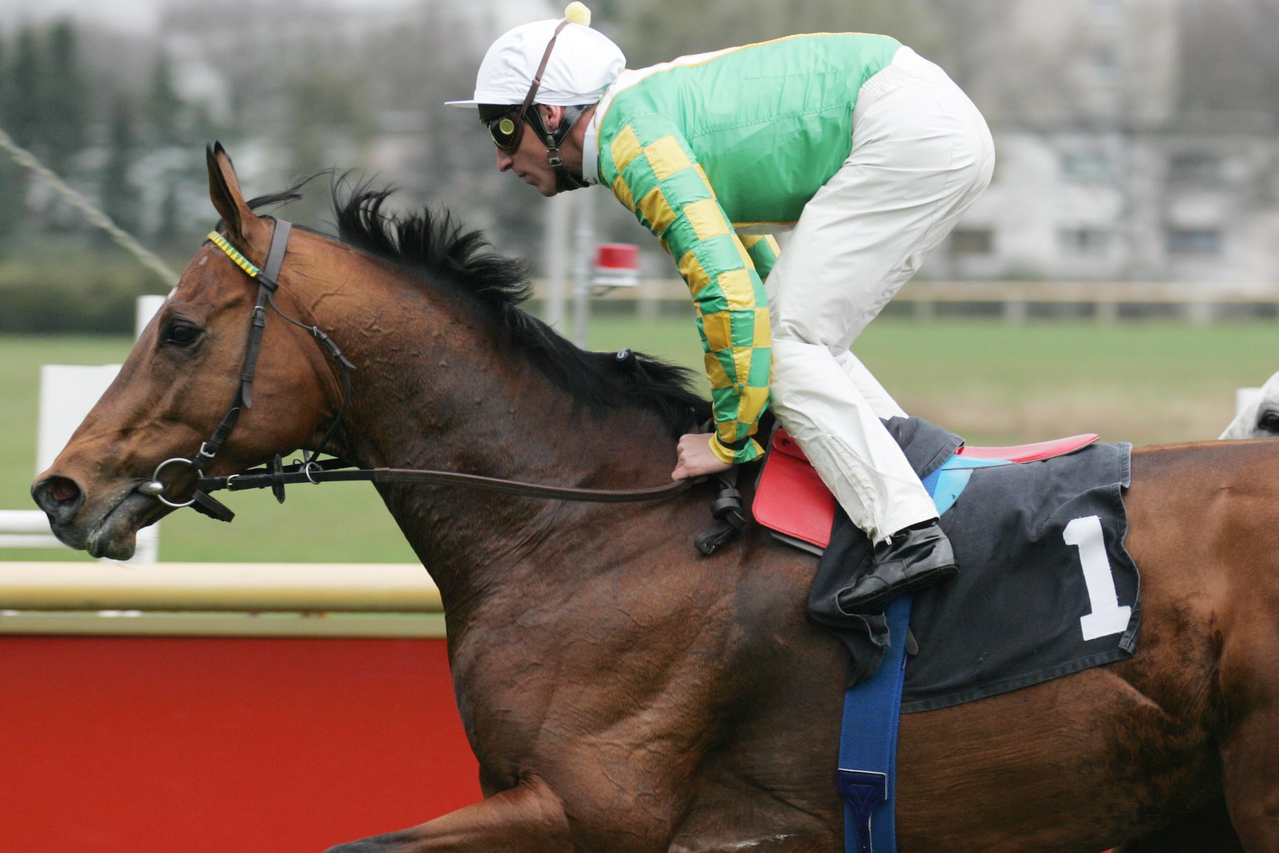 Epalo unter A. Starke Epalo unter A. Starke