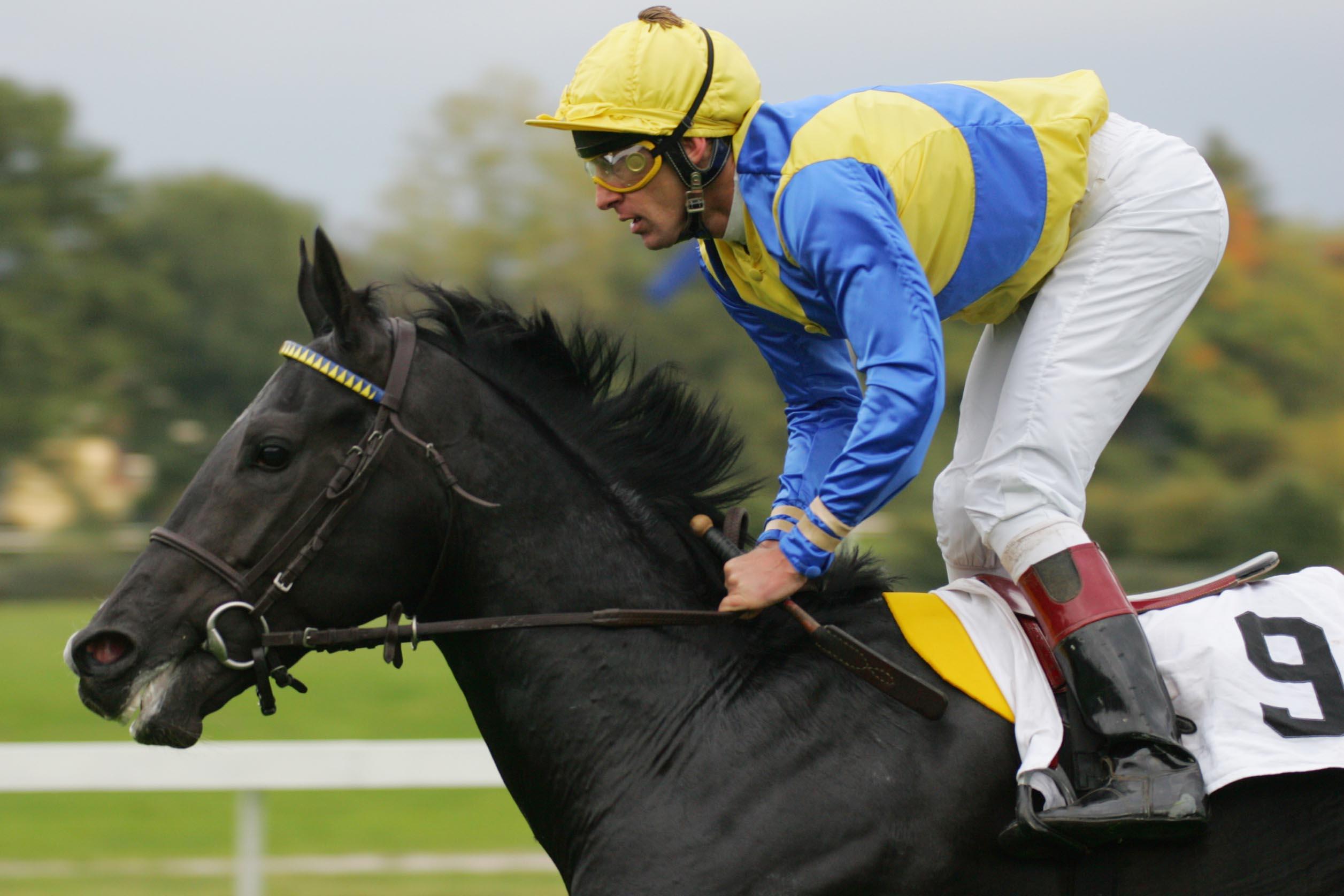 Manduro unter Terry Hellier Manduro unter Terry Hellier