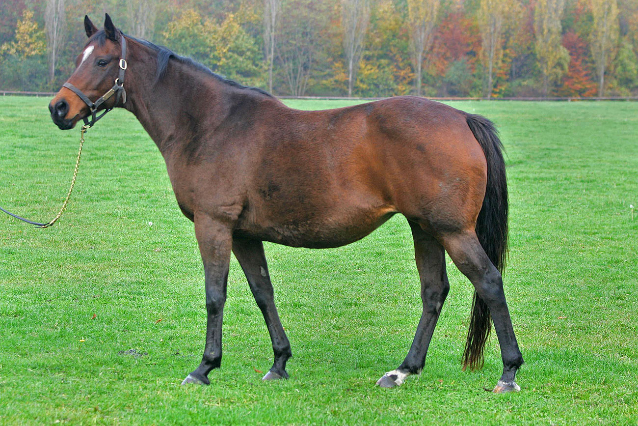 So Sedulous So Sedulous