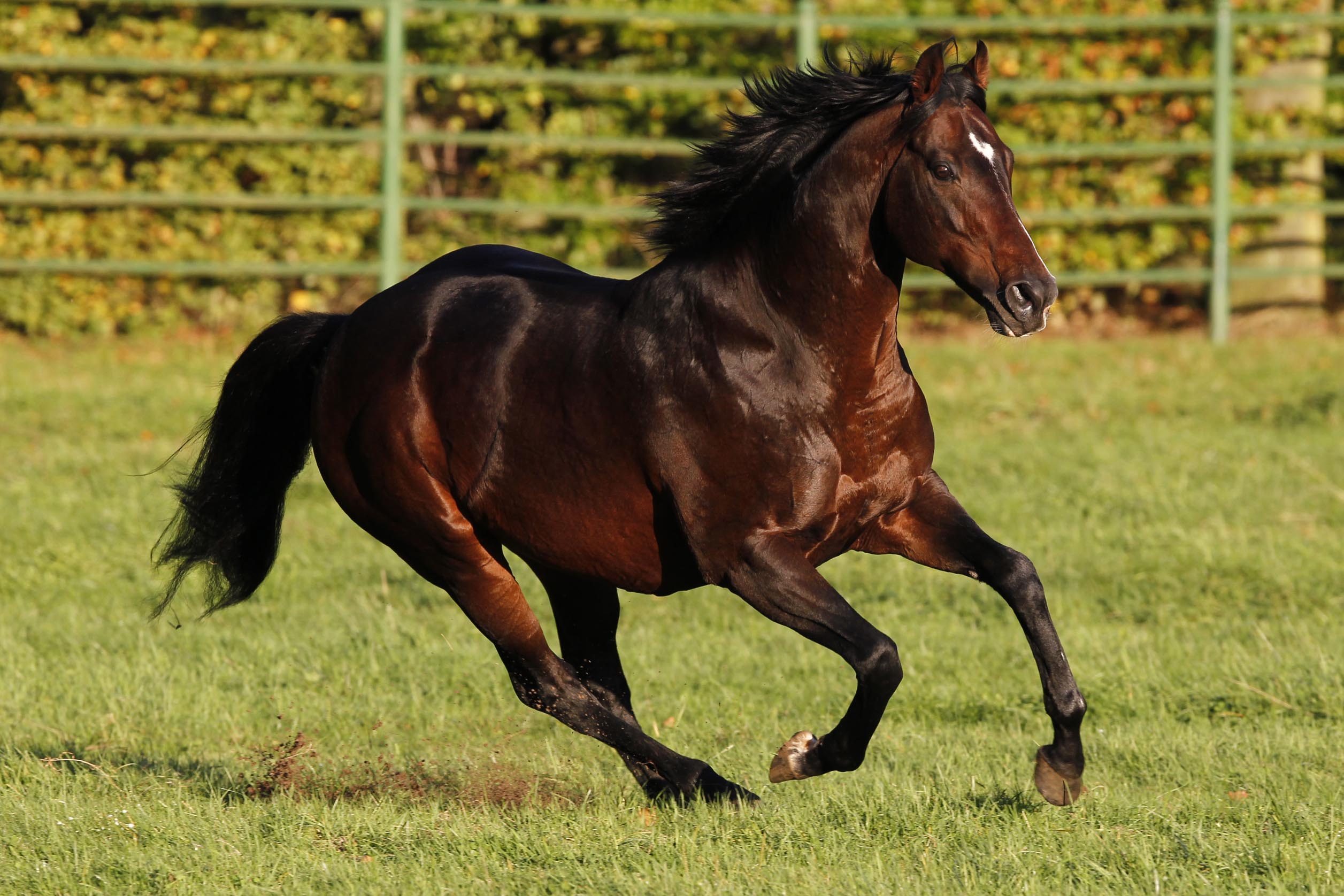 Soldier Hollow Soldier Hollow